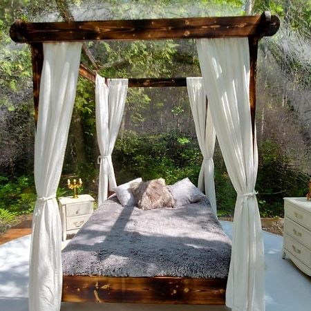 La Cabane Secrete Matane Εξωτερικό φωτογραφία