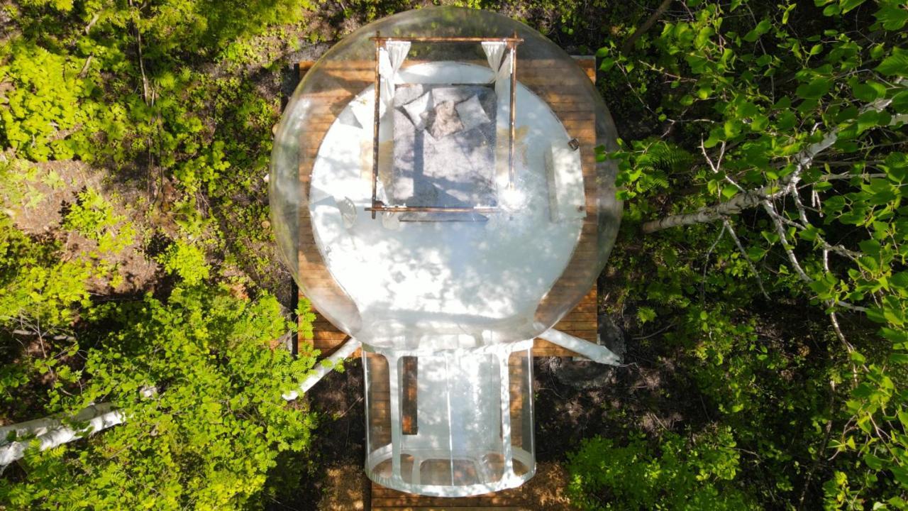 La Cabane Secrete Matane Εξωτερικό φωτογραφία